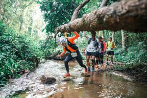 BIB: 
                            <button type="button" onclick="openModal(25375229)" class="btn btn-primary btn-sm float-right btn-popup" data-toggle="modal" data-target=".modal-high-quality">
                        <i class="fas fa-shopping-cart"></i> Add to Cart
                    </button>
                                            <button type="button" onclick="isThisMe(25375229, true)" class="btn btn-success btn-sm float-right btn-popup btn-isme hidden" data-toggle="tooltip" data-placement="bottom" title="นี่คือรูปของคุณใช่ไหม คลิกที่นี่เพื่อเอาเข้าอัลบั้ม">
                        <i class="fas fa-plus"></i> Add to album
                    </button>
                    <button type="button" onclick="isThisMe(25375229, false)" class="btn btn-warning btn-sm float-right btn-popup btn-isnotme hidden">
                        <i class="fas fa-ban"></i> Remove from album
                    </button>